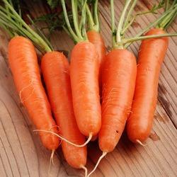 Organic Carrot, for Juice, Snacks