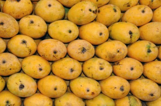 Organic Chaunsa Mango, for Direct Consumption, Feature : Good In Taste, Non Pesticide