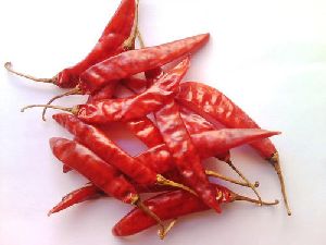Organic Stemmed Dried Red Chilli, Length : 6 to 9 cm