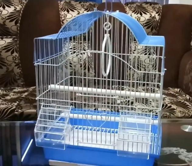 Bird Cages, for Easy Opening, Grill Material : Stainless Steel
