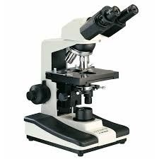 binocular microscope