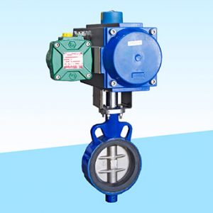 IPC Carbon Steeel Centric Butterfly Valve, Certification : ISO 9001:2008 Certified