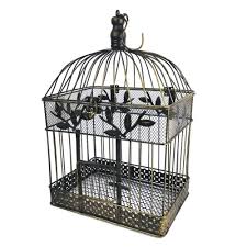 Glass Bird Cage, for Clinic Purpose, Feature : Eco-Friendly, Rust Proof, Fully Adjustable, Easy Opening