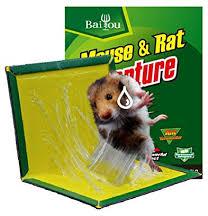 Coated Alloy Steel mouse glue trap, Size : 1.1/2inch, 1.1/4inch, 1/2inch, 1inch, 2inch, 3/4inch
