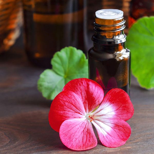 Geranium Oil, Color : White at USD 420 / 100ml, 250ml, 500ml & 1kg in ...