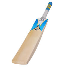 Plain 1kg Wood cricket bat, Feature : Termite Resistance, Premium Quality, Light Weight, Fine Finish