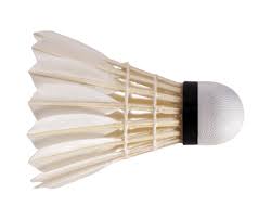 Badminton shuttlecock, Color : White