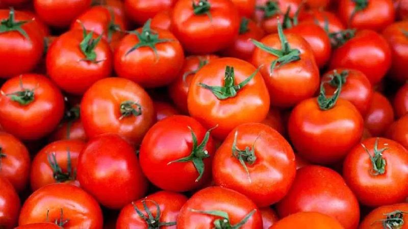 Common fresh tomato, Packaging Type : Plastic Crates