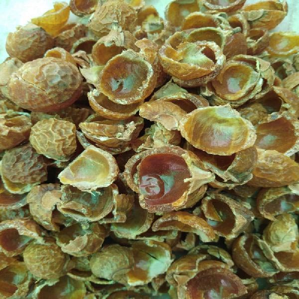 Deseeded Soap Nuts, Texture Dried at best price in Lucknow Uttar