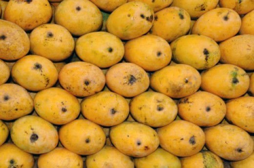 Organic Fresh Chaunsa Mango, Packaging Type : Plastic Bag