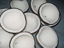 Oval Common Half Cut Copra, for Pooja, Form : Solid