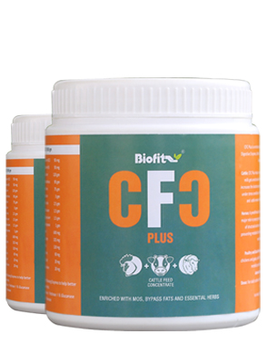 CFC PLUS (Cattle Feed Concentred)