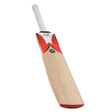 Plain 1kg Plastic cricket bat, Feature : Fine Finish, Light Weight, Premium Quality, Termite Resistance