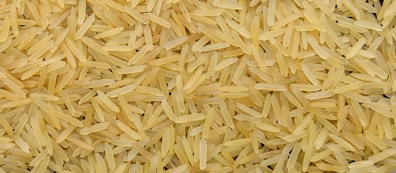 1121 Golden Sella Basmati Rice.jpg