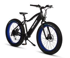 electric bikes