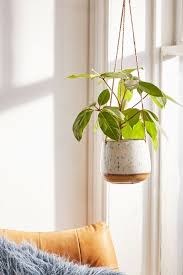 Hanging Ceramic Planter