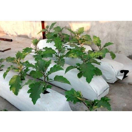 LDPE Lay Flat Grow Bag, for Growing Plants, Pattern : Plain, Labelled