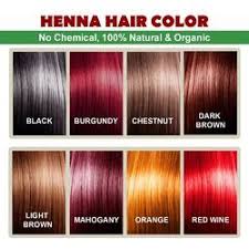 Hair Colour, Brand : Garnier, Godrej . Alankar Private Limited,  Saran, Bihar