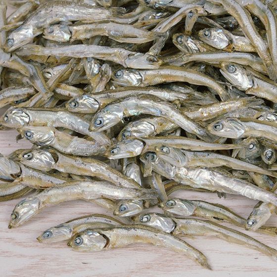 Anchovy Fish Buy Anchovy Fish for best price at USD 400 / Metric Ton ( Approx )