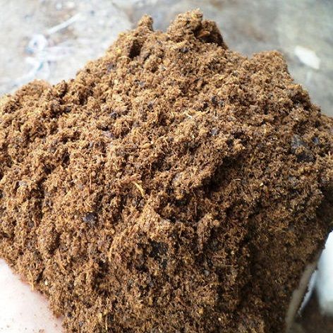 Common Palm Kernel Cake, Packaging Type : Brown, Golden