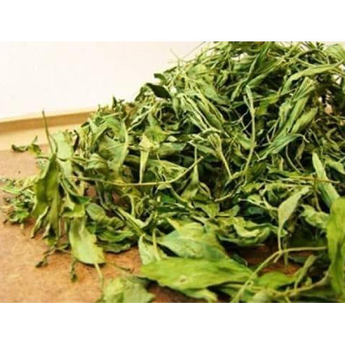IOCFC Organic stevia dry leaf, Feature : Highly Effective, Nice Aroma