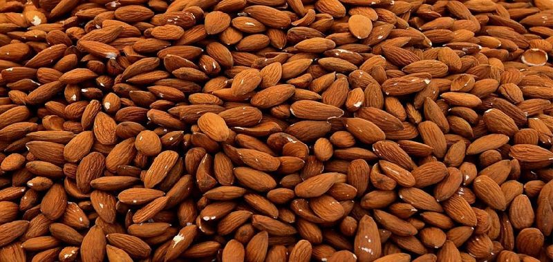 Organic Almond Nuts, Feature : Good Taste, Rich In Protein, Vitamin