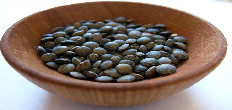 Puy Lentils