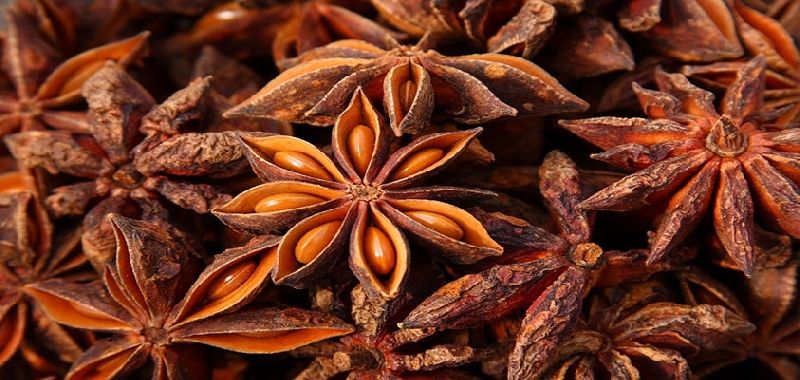 Organic Star Anise Seeds by Prince International from Gajraula Uttar ...