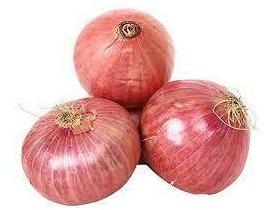 Organic fresh red onion, Packaging Type : Jute Bags, Net Bag, Plastic Bag