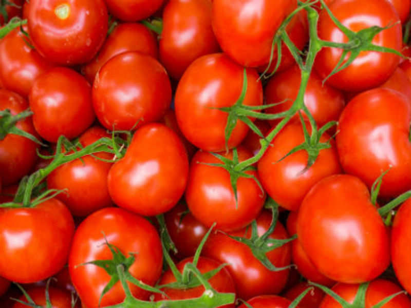 Organic Fresh Hybrid Tomato, for Cooking, Packaging Type : Plastic Crates