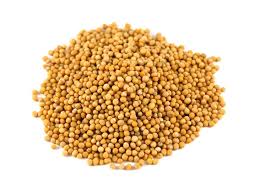 Mustard seeds, Packaging Type : Plastic Bag, PP Bag