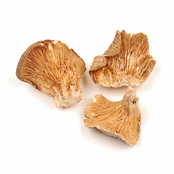 Organic Dried Oyster Mushroom, for Cooking, Oil Extraction