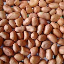 Common Unshelled Groundnuts, for Oil Extraction, Packaging Size : 25Kg