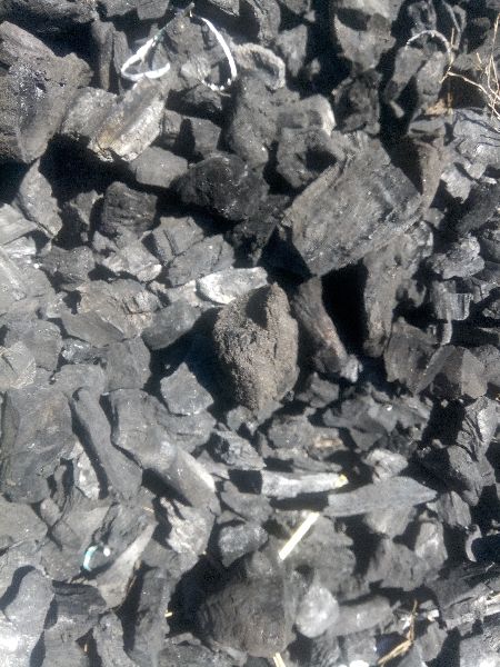 indian steam coal