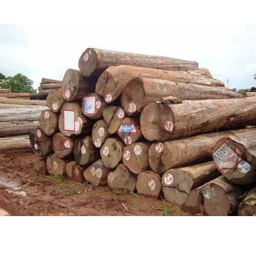 Round Stacked Tree Wood Logs, for Making Furniture, Feature : Accurate Dimension, High Strength