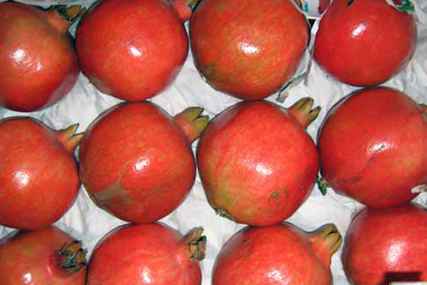 Organic Ganesh Pomegranate, for Making Custards, Making Juice, Style : Fresh