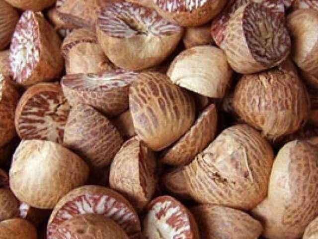 Common Betel Nut, For Food, Medicine, Form : Solid