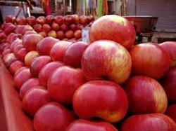 Natural Fresh Kashmiri Apple, Color : Red