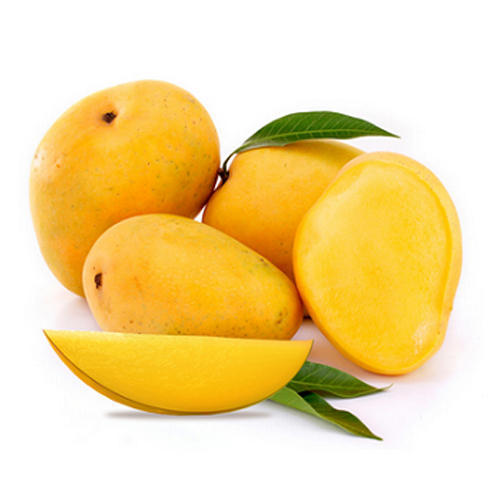 Organic fresh alphonso mango, Packaging Type : Corrugated Box, Jute Bags