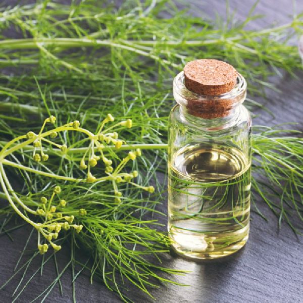 Fennel Seed Oil, for Medicine, Natural Perfumery, Certification : FSSAI