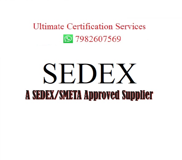 SEDEX Audit in Inderlok, Delhi