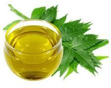 Azadirachta Indica neem oil, Extraction Type : Cold Process, Manual, Solvent Extraction