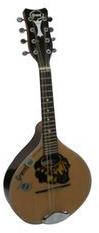Non Polished Teak Wood Sitar, for Musical Use, Size : 30inch, 32inch, 34inch, 36inch