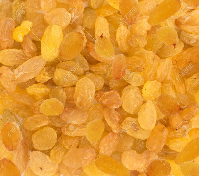 Dry Golden Raisins, Shelf Life : 12 Months
