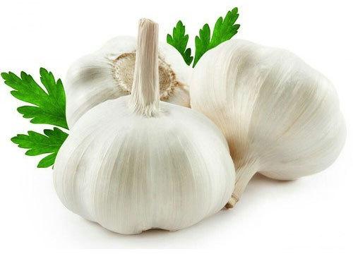 Organic Garlic, Shelf Life : 3months