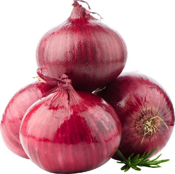 Organic Red Onion, Shelf Life : 1month