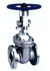 gate valve