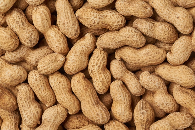 Peanut, for Direct Consumption, Home, Industrial, Restaurant, Feature : Long Shelf Life, Optimum Quality