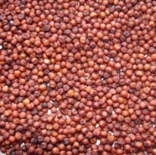 Finger Millets, Grade : Food Grade