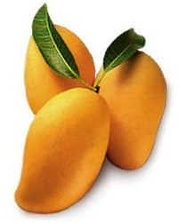 Organic Fresh Kesar Mango, Color : Yellow